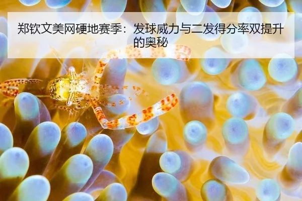 郑钦文美网硬地赛季：发球威力与二发得分率双提升的奥秘