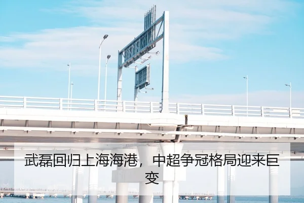 武磊回归上海海港，中超争冠格局迎来巨变