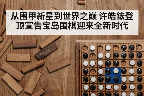 从围甲新星到世界之巅 许皓鋐登顶宣告宝岛围棋迎来全新时代