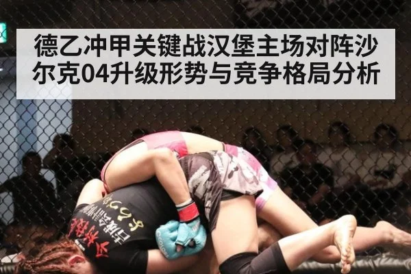 德乙冲甲关键战汉堡主场对阵沙尔克04升级形势与竞争格局分析